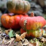 Ter Instagram - la mejor estación 🍂🎃🍄🍁🌙🍂 t digo una cosa, la foto de las calabazas parece de stock pero la he hecho yo porque compré calabazas xq me dio la gana comprar calabazas. no tiene recorrido la historia. y la primera foto me la hizo @sharonlopez en un showroom de @levis_spain <3