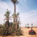 Tess Masazza Instagram - Ho paura in aereo ma… #viaggiare #vogliadievadere
