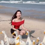Thanwaporn Nasombat Instagram - แวะมาหาน้อง 🐣🐤 พิกัด : MORE THAN Beach & Cafe ชะอำ #นะโมจะเที่ยว