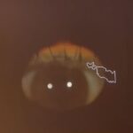 Thelma Fardin Instagram – El último video es mi ojo: pupila e iris convirtiéndose en galaxia 👁️ 
En el medio Morita bostezando.