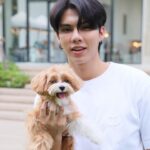 Thitipong Sengngai Instagram - @THEEMSPHERE ชวนคุณและน้องๆ สัตว์เลี้ยง ร่วมสนุกในงาน PET MARKET @MHATIDTIEW_EVENT X @SSKTMMEE ช้อปฯ สินค้าสัตว์เลี้ยงน่ารักๆ พร้อมร่วมสนุกกับกิจกรรมต่างๆ มากมาย AT EM GLASS & EM YARD, G FL, EM TOWER TODAY - 31 JAN 24 #หมาติดเที่ยว #EMSPHERE #EMDISTRICT #FortFTS #ComeFortZon #BabyFeat