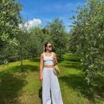 Tiera Skovbye Instagram - How long until I spill 🍷 or 🍝 on my white outfit?