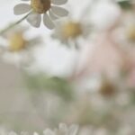 Tika Sumpter Instagram - Be kind while blooming. Love you.