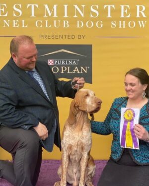 Tim McGraw Instagram - So proud of Lepshi!! He’s always been a winner in our eyes!  

Lepshi won best of breed today for the Bracco Italiano, the first year for the breed at Westminster. #westministerdogshow