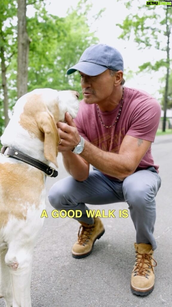 Tim McGraw Instagram - There’s no better way to start the day than with a good walk… just ask Caesar and Stromboli!