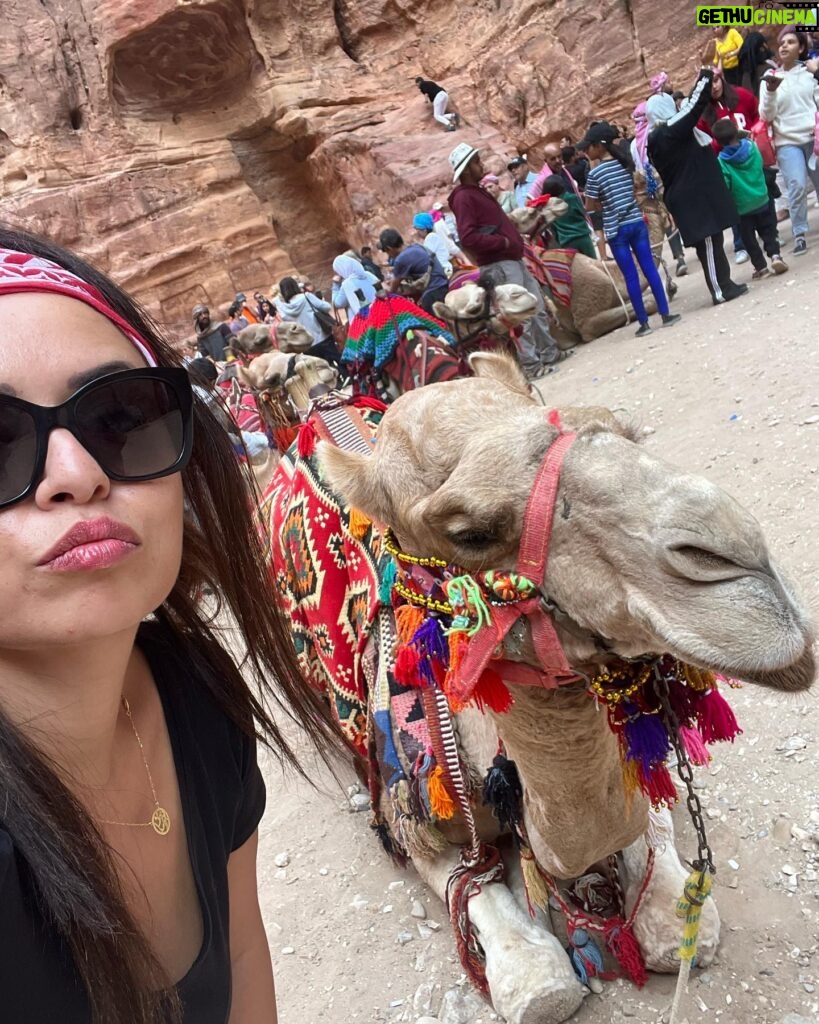 Tima Shomali Instagram - المدينة الوردية 💗 #البتراء . #rosecity #petra #visitjordan