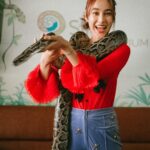 Tisanart Sornsuek Instagram - คืนนี้อย่าลืมดูสร้อยนาคีกันนะคะ🐍 #ฉันโดนงูรัด