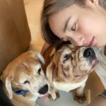 Tisanart Sornsuek Instagram - เดียวลูกก็กลับมาแล้ว..อิอิ บักเนยดูแลพ่อกับแม่ดีๆนะจ๊ะ ส่วนม่อนลิเฝ้าบ้านด้วยนะไม่ใช่ให้แม่เฝ้า🥰🫰🏻🐶 #คิดถึงหมามาก