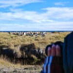 Tita Ureta Instagram – Al fin los vi! agradezco todos los días por las experiencias. Hace dos años fui al fin del mundo a ver si veía un pingüino rey. Intento fallido, no pudimos verlos. Está vez, me invitaron al lanzamiento del #HONORMagic6Pro en el fin del mundo y la vida nos premió con tremenda experiencia, nos llevamos tremendas postales. Qué mágico que es #chile. Estar en la ciudad y en un día poder estar en Tierra Del Fuego, un lujo. Amé las fotos que capta esta nueva joyita.

@honor_chile
#HONORMagic6Pro