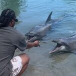 Todd Gurley Instagram - 🐬🦭