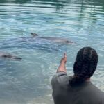 Todd Gurley Instagram - 🐬🦭