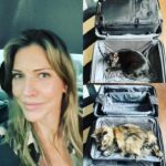 Tricia Helfer Instagram - Landed into a foggy LA…and the situation when I was packing this morning. Momma don’t leave!!!!! Two days of yearly doc appointments and then turning around back to the east coast for #LuciConNJ (Sun only).