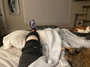 Tricia Helfer Instagram - How the afternoon started…how it’s going.  Getting my knee fixed after a major injury this spring sidelined me.  Not looking towards the nerve blocker wearing off tonight and the next couple weeks of hell but I am looking forward to a repaired knee and coming back strong next year!