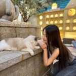 Tsai Jui-hsueh Instagram – 這世界上不能沒有貓貓ฅ^•ﻌ•^ฅ