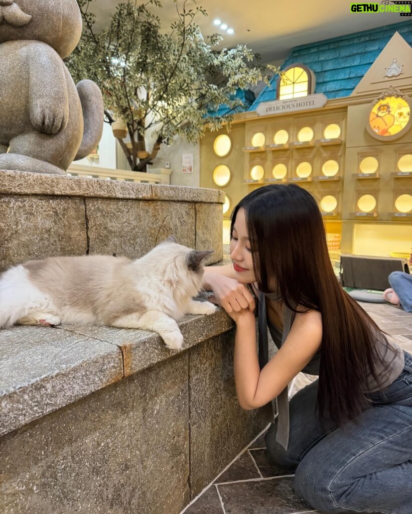 Tsai Jui-hsueh Instagram - 這世界上不能沒有貓貓ฅ^•ﻌ•^ฅ