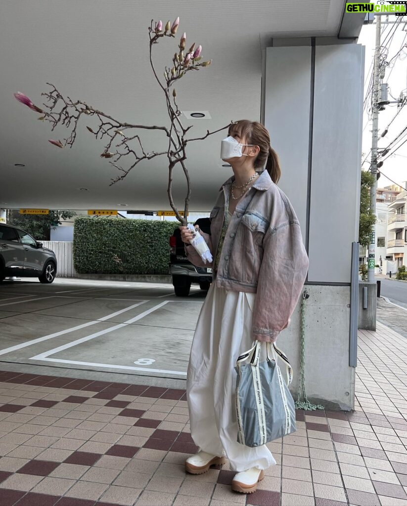 Tsubasa Honda Instagram - 🌴 枝もらったよー🥳 花咲くらしいよー🌷