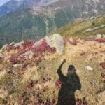 Tuba Ünsal Instagram - Karadeniz uzun zamandır gelmek istediğim bir bölge. Hızlı bir kararla bir günde karar verip bavul yapıp yola çıkıyorum. Seyehat olayında uzun zaman onceden baslamıyor benim planlar.O an neye ihtiyacım varsa ona gore bir rota belirliyorum. Bu sefer ruhumdan doğa sesleri yükseliyor. Ilk durağım @hakoni.house Selen ve Selçuk hemen organize ediyorlar beni. Fındıklı köyunun en guzel noktasında rüya gibi bir otel. Sanırım Karadenizin en güzel otellerinden. Sahibi Osman beylerin yaylalarına çıkmak ıcin plan yapıyoruz Hokana otelden 1 saatte Kayadibi yaylasina variyoruz.Bulutlar deniz gibi altimiza serilmis.Oradan daha yukarıya Kucuk yaylaya cikiyoruz. 2540 metre yuksekteyiz. Her yerde likapa bizim bildigimiz ismiyle yaban mersinleri var.inanilmaz bir manzara ve yesilin her tonu nefes kesici. Arkasindan buzullarla kapli bir yoldan gecip Ovid golune geliyoruz.Hakoni isletmecisi aile üyesi Selçuk hemen göle atlıyor.Uzunca bir sure Hakoninin inşaatıyla ugrastığı icin bu sene deniz, göl hayal olmuş. Fındıklı da hersey masal gibi.Selalede yuzuyoruz, eski yasami gormek icin konakları dolasıyoruz ve inanilmaz lezzetli yemekler yiyoruz En lezzetli yemekleri yediğimiz yerlerden biri Livadi restaurant nehir kenarında bir isletme.Sanırim en iyi muhlamayi burada yedim.Gun batıminda da gelebilirsiniz dolunayda ayın yansımasıyla aksam yemegi de sefalı. Kavurma da burada yemeniz gereken lezzetlerden biri. Diger bir önerim de Abu su ürunlerinde somon yemeniz. Kremalı olanı tam bir umami. Bir de Isabella diye bir üzüm kesfediyorum. Müthis bir koku Yediğim diğer hicbir üzüme benzemiyor Herseyin otesinde bu seyehatin en güzel tarafi Osman beyi, Merih hanımı Selçuğu tanımaktı. Uzun zamandır tanıdığım en güzel insanlar.Simdi rotada Macahel