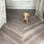 Uzo Aduba Instagram - When you thought today was Friday😩🐾 Repost from @thedoxieisdabezt • The cutest little footsteps🐾🥺 🔥 Follow 👉 @thedoxieisdabezt Cre: @oakleythedachshund10 - TikTok . . . . . #dachshundsofig #thedoxieworld #puppydachshund #funnydog #dog
