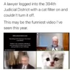 Uzo Aduba Instagram - “I’m here live I’m…I’m not a cat.” 😭😭😭 Repost from @drzorakhan • I'm not a cat ..I'm rolling in my bed.....2 years on this video still makes me crack up. 🤣🤣Zora. . . #funny #hilarious #humor #lol #funyvideo #funnycat #funnyvideos #covid #zoom #haha #zoommeeting #catsfollowers #catsofinsta #zoomcat #catvideos #catlovers #ilovecats #cats #cats_of_instagram #catstagram