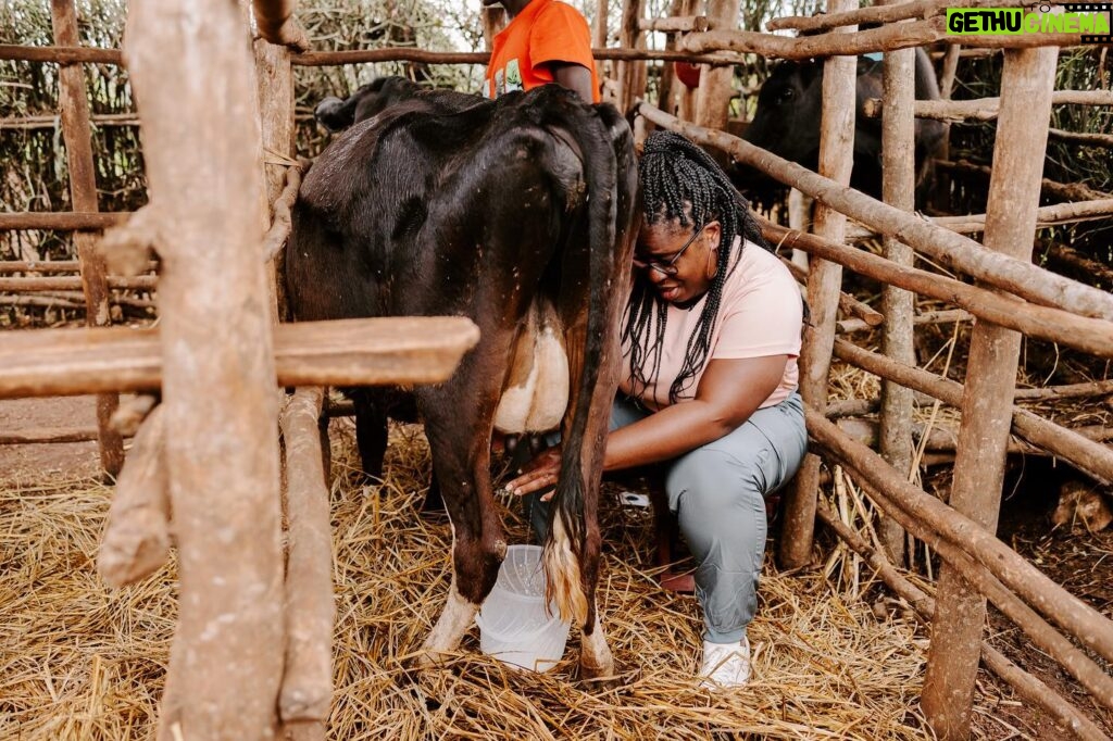Uzo Aduba Instagram - The work that Heifer does is important because it really drives home what our purpose is as humans, I believe, which is to be contributing members to our community. And through the efforts of providing a cow, chicken, goat or seeds to a family in need, that seemingly small act is able to change not only the life of that individual, but the lives of everyone in that home, to be greater and bigger than they could have ever imagined.