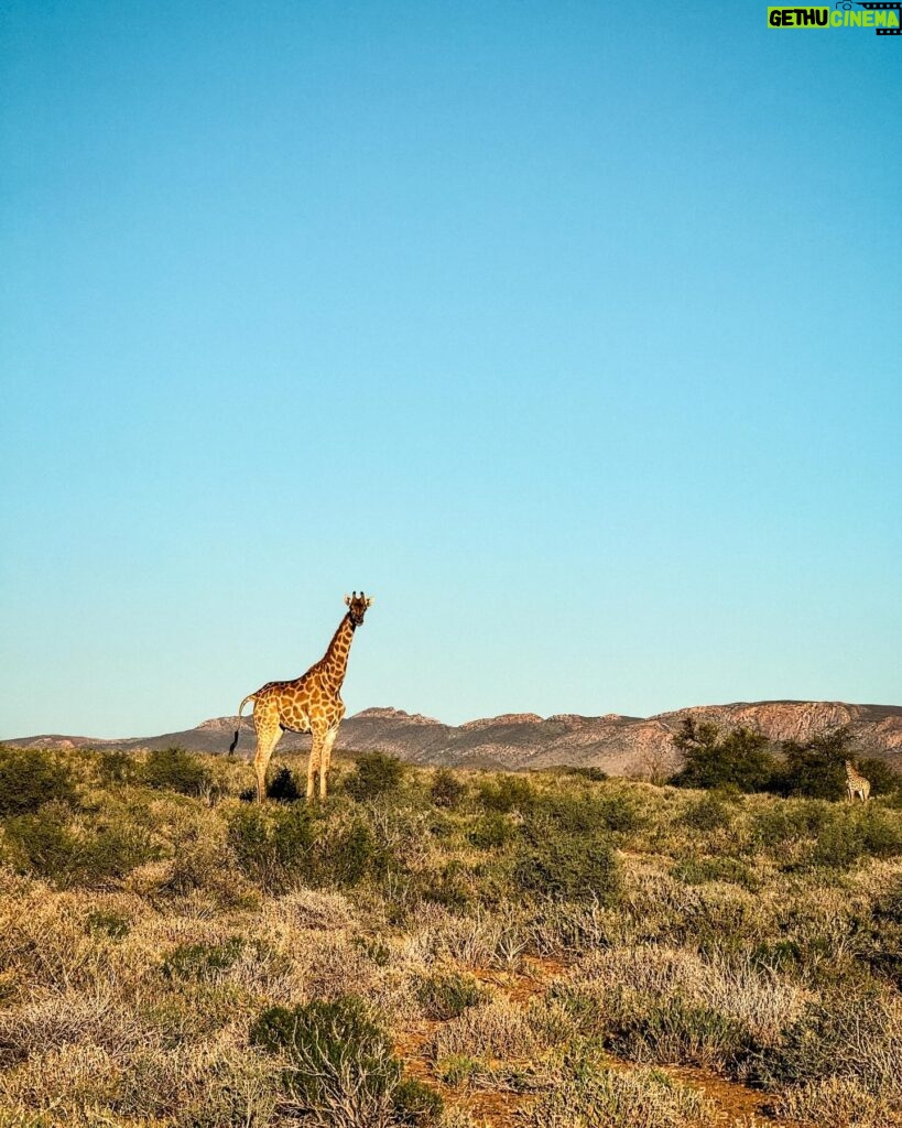Valtteri Bottas Instagram - This is Africa 🇿🇦 #VB77 #SouthAfrica #Karoo 📷 @tiffanycromwell & me