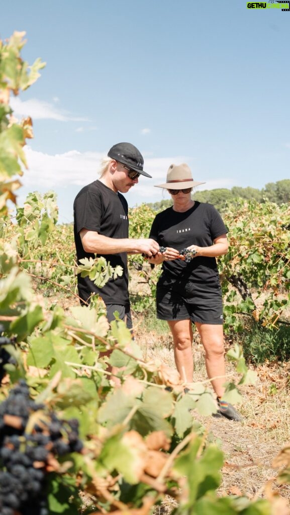 Valtteri Bottas Instagram - A visit to the vineyard back in March 🚜 🍇 We were working on Edition #2 of IHANA wine in sunny Australia. You can try @ihanawine Edition #1 before we release #2 via link in bio. Available in USA, Australia & Finland. 📸: @byerleedesign
