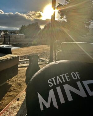 Vanessa Marcil Instagram - Crazy love………
@mauricebenard @mbstateofmind @houseinhabit #mentalhealthawarenessmonth