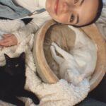 Vanessa Merrell Instagram - POV: the girl whose cats have become her entire personality
