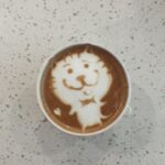 Vanessa Merrell Instagram - POV: the girl whose cats have become her entire personality