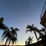 Vanessa Merrell Instagram - life