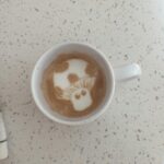 Vanessa Merrell Instagram - POV: the girl whose cats have become her entire personality