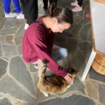 Vanessa Merrell Instagram - *travels to different countries and comes back with only cat content a monkey*