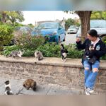 Vanessa Merrell Instagram - *travels to different countries and comes back with only cat content a monkey*