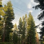 Vanessa Merrell Instagram - Gone exploring, leave a message after the beep 📲⛰️🥾🌲