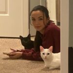 Vanessa Merrell Instagram - My aesthetic is: sweatshirts with a dash of cat hair