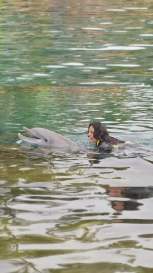 Vanessa Villela Instagram - What a dream day we had at @discoverycove to continue celebrating our 1st wedding anniversary 🥰
Wowwww🤩 The love and care they give to all the animals here is something incredible and  the company is building a purpose-driven company to create experiences that matter and inspire people to protect animals and the wild wonders of the world which if you know me you know how important that is for me and they’re definitely making impact. 🙏🤍
Special thanks to Todd for making this day even more special✨✨
Thank you so much for an unforgettable experience @discoverycove @visitorlando 🩵🐬🩵 

#DiscoveryCove #VisitOrlando 

Que día de ensueño tuvimos en @discoverycove para seguir celebrando nuestro 1er aniversario de bodas 
Wowwww🤩 El amor y el cuidado que brindan a todos los animales aquí es algo increíble y la compañía está construyendo una empresa con un propósito para crear experiencias que importen e inspiren a las personas a proteger a los animales y las maravillas salvajes del mundo. Muchas gracias por una experiencia inolvidable @discoverycove @visitorlando