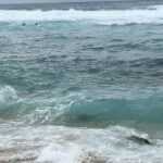 Vanessa Villela Instagram - Maui!!! 🌴 Wow what a beautiful place on earth! 😍Found a secret gem in paradise! My beach house was a dream, waking up with the sound of the waves, being able to jump into the ocean on my doorstep, walking on the beach with turtles and the most beautiful raw nature😍 I highly recommend you this place @paiainn ✨✨✨✨ ¡Encontré una joya secreta en Maui! Mi casa de playa era el paraíso, un sueño, despertar con el sonido del océano, caminar en la playa con tortugas y la naturaleza más hermosa 😍 @paiainn ✨✨✨✨ Thanks Michael for the excellent hospitality!! 4th photo is my favorite!!!☺️ Photos by my Hubby @tomfraud ❤️Milla Bikini by @lascivious 👙 🖤 Butterfly necklace “The power of Love” by Vanessa Villela Link in my BIO Abs by my favorite pilates place @karenlordpilates