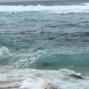 Vanessa Villela Instagram - Maui!!! 🌴 Wow what a beautiful place on earth! 😍Found a secret gem in paradise! My beach house was a dream, waking up with the sound of the waves, being able to jump into the ocean on my doorstep, walking on the beach with turtles and the most beautiful raw nature😍 I highly recommend you this place @paiainn ✨✨✨✨
¡Encontré una joya secreta en Maui! Mi casa de playa era el paraíso, un sueño, despertar con el sonido del océano, caminar en la playa con tortugas y la naturaleza más hermosa 😍 @paiainn ✨✨✨✨ 
Thanks Michael for the excellent hospitality!! 
4th photo is my favorite!!!☺️

Photos by my Hubby @tomfraud ❤️Milla Bikini by @lascivious 👙 🖤 
Butterfly necklace “The power of Love” by Vanessa Villela Link in my BIO 
Abs by my favorite pilates place @karenlordpilates