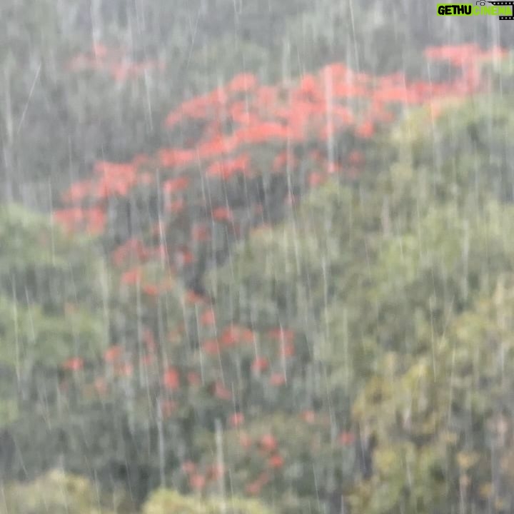 Vitória Falcão Instagram - é uma chuvaida, uma foto dum livro e depois a voz na sua cara, umas arrumação de natação, o nome da minha casa, uma fritura boa, um sorriso que abre a vida, um monte de coisa nessa cidade doida cheia de surpresa, mas nada NADA justifica jaja ser abril. corre nnn pra tu v