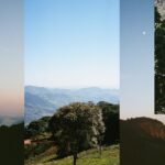 Vitória Falcão Instagram – encontrar diferentes respostas pras mesmas perguntas 
ao virar uma curva 
ver outras entradas de luz 
contar curvas montanhosas ao invés de prédios num skyline 
ver a cara de bichos que não sei o nome mas sei quem são 
imaginar tudo que vejo aqui, existindo do outro lado
.
como a fundação de um edifício, ou raízes de uma árvore

o que seria a raiz de uma cachoeira?