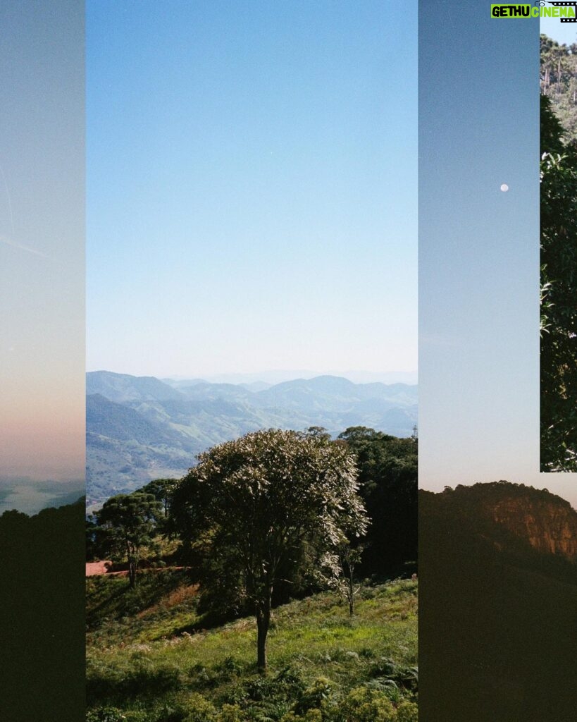 Vitória Falcão Instagram - encontrar diferentes respostas pras mesmas perguntas ao virar uma curva ver outras entradas de luz contar curvas montanhosas ao invés de prédios num skyline ver a cara de bichos que não sei o nome mas sei quem são imaginar tudo que vejo aqui, existindo do outro lado . como a fundação de um edifício, ou raízes de uma árvore o que seria a raiz de uma cachoeira?