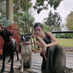 Vivian Sung Instagram - 雞飛狗跳的一天 🐶🐔