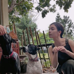 Vivian Sung Instagram - 雞飛狗跳的一天 🐶🐔