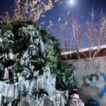 Wang Feifei Instagram - x'mas 🎄