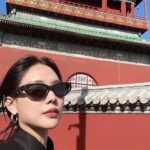 Wang Feifei Instagram -