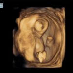 Whitney Cummings Instagram - In these pix I am with child. And there’s a baby in me too. Human pup coming December. All tour dates in 2023 still happening I just may fall over a couple times.