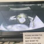 Whitney Cummings Instagram - My kid is already doing bits GREAT
