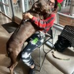 Whitney Cummings Instagram - Ya’lls dogs wait to go into the vet like this too yeah