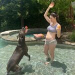 Whitney Cummings Instagram - In these pix I am with child. And there’s a baby in me too. Human pup coming December. All tour dates in 2023 still happening I just may fall over a couple times.
