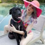 Whitney Cummings Instagram - Watch @whitneycummings reunite with her foster pittie 💛 (🎥: @adventuresmagicponyadndblue, @iloverescue, @istandwithmypack)